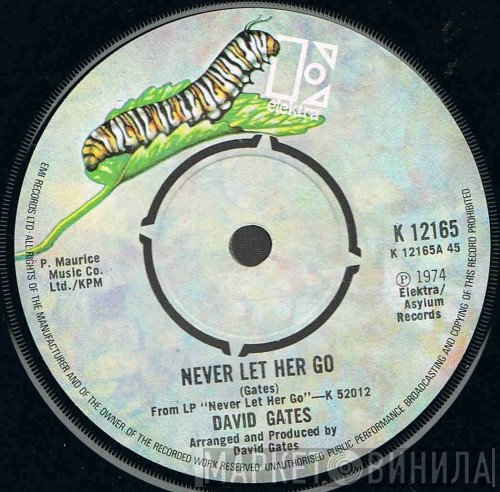 David Gates - Never Let Her Go