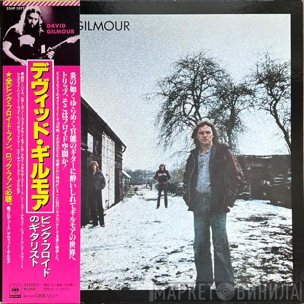David Gilmour  - David Gilmour