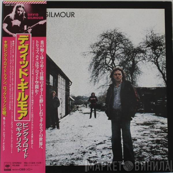David Gilmour  - David Gilmour