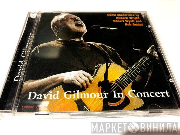 David Gilmour  - In Concert