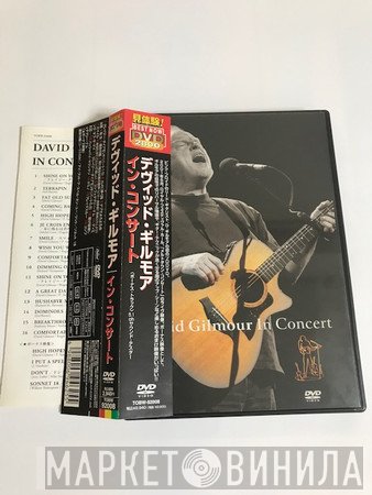 David Gilmour  - In Concert