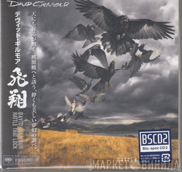 David Gilmour  - Rattle That Lock