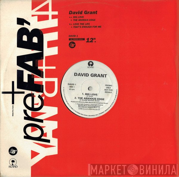 David Grant - Big Love
