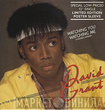 David Grant - Watching You Watching Me