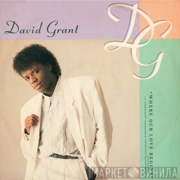 David Grant - Where Our Love Begins
