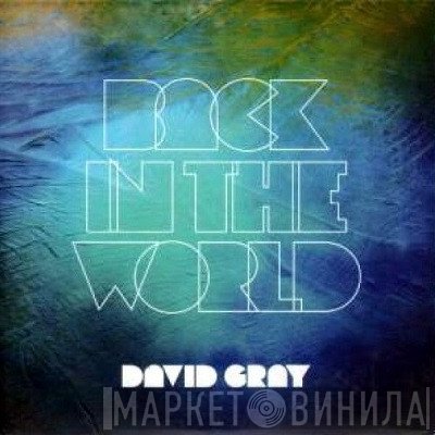 David Gray  - Back In The World