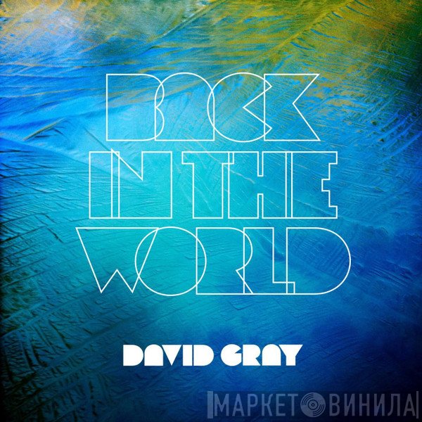 David Gray  - Back In The World