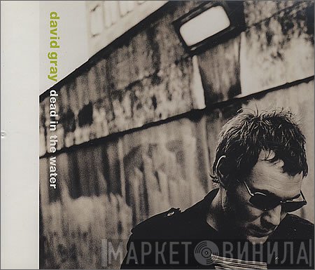 David Gray - Dead In The Water