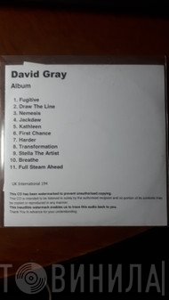 David Gray  - Draw The Line