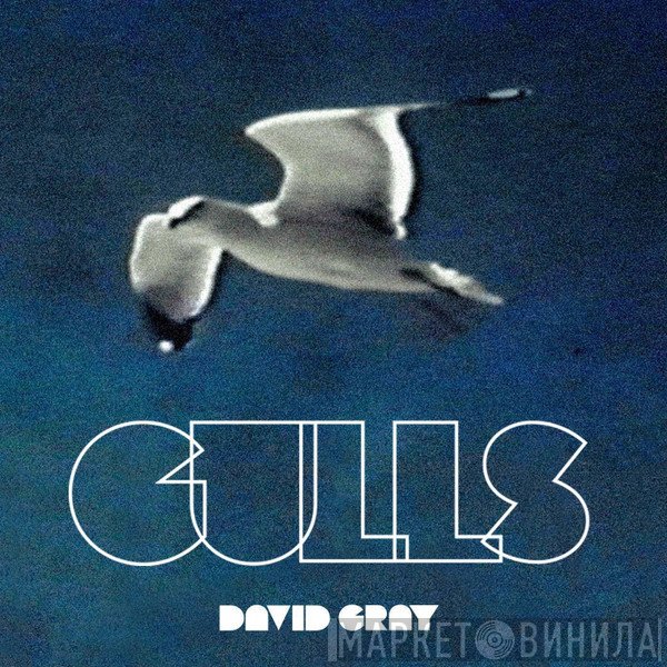 David Gray  - Gulls