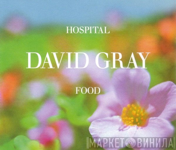 David Gray - Hospital Food