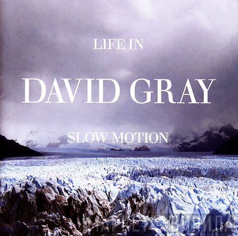 David Gray  - Life In Slow Motion
