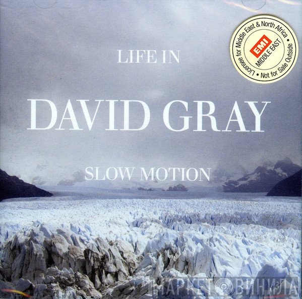 David Gray  - Life In Slow Motion