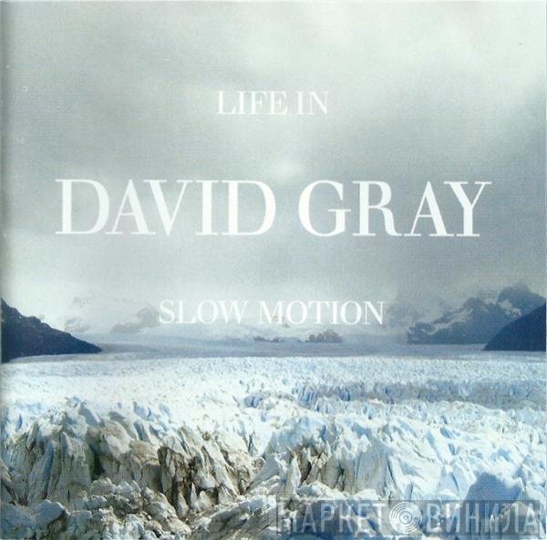 David Gray - Life In Slow Motion