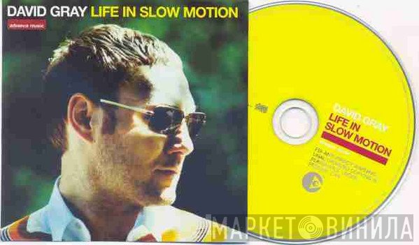 David Gray  - Life In Slow Motion