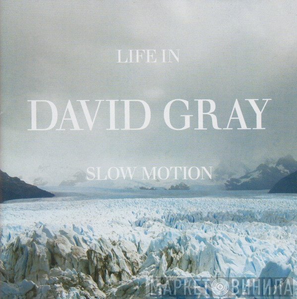 David Gray  - Life In Slow Motion