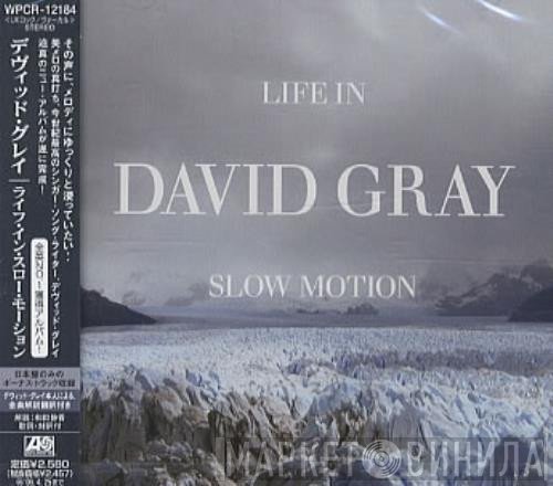 David Gray  - Life In Slow Motion