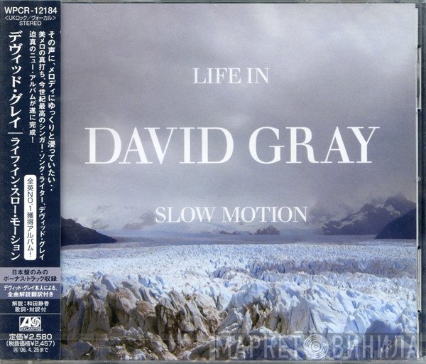 David Gray  - Life In Slow Motion