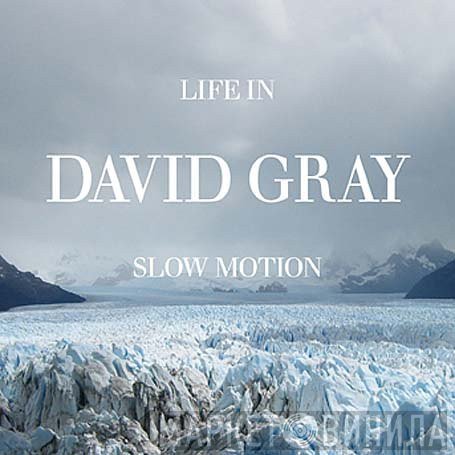 David Gray  - Life In Slow Motion