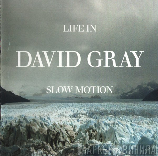 David Gray - Life In Slow Motion
