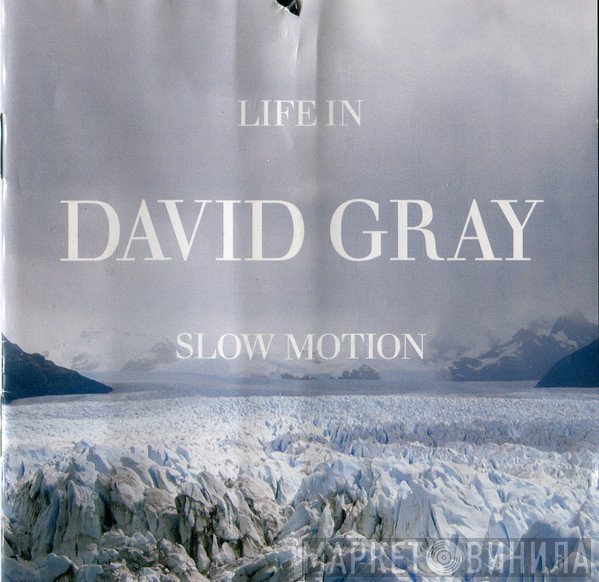 David Gray  - Life In Slow Motion