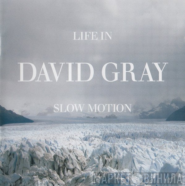 David Gray  - Life In Slow Motion