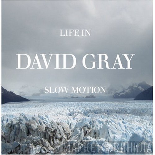 David Gray  - Life In Slow Motion