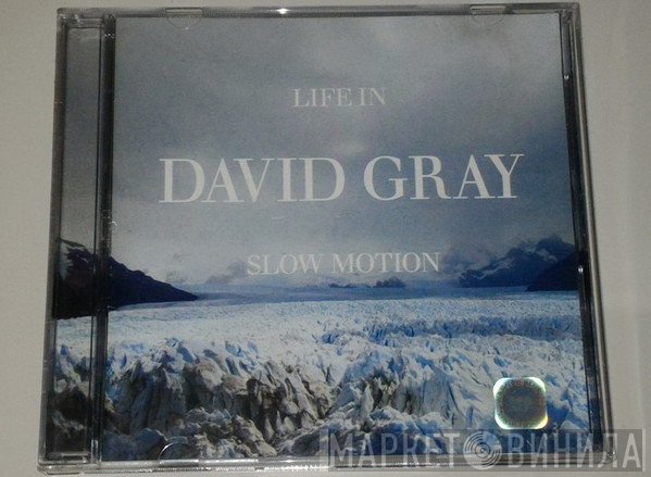 David Gray  - Life In Slow Motion