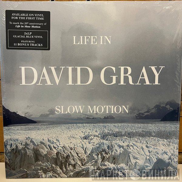 David Gray  - Life In Slow Motion