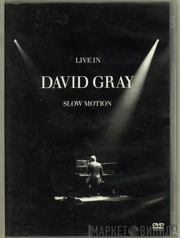 David Gray  - Live In Slow Motion