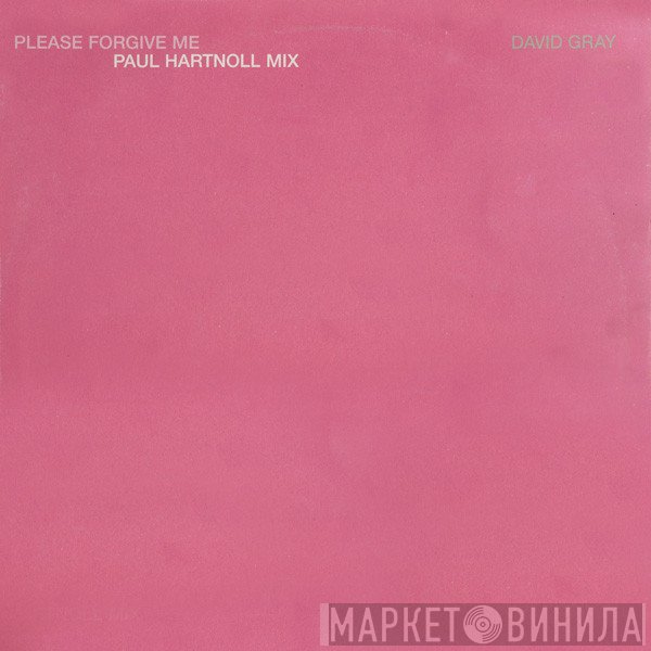 David Gray - Please Forgive Me (Paul Hartnoll Mix)