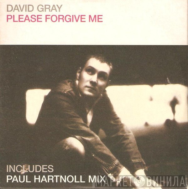 David Gray - Please Forgive Me