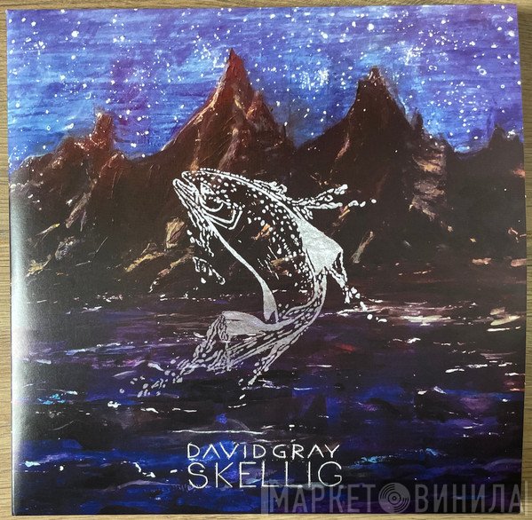 David Gray - Skellig