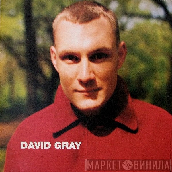 David Gray  - Wisdom