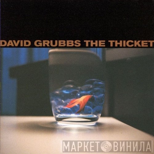 David Grubbs  - The Thicket