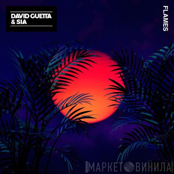 David Guetta & Sia  - Flames