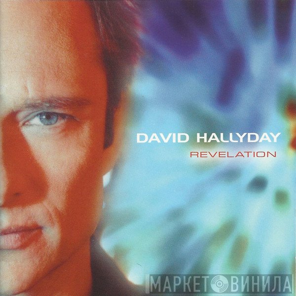 David Hallyday  - Révélation