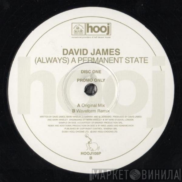 David James - (Always) A Permanent State (Disc One)