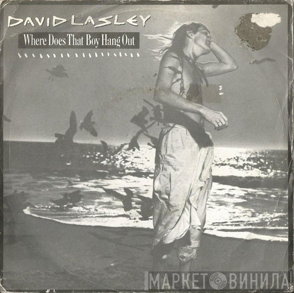 David Lasley - Where Does That Boy Hang Out