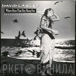 David Lasley - Where Does That Boy Hang Out