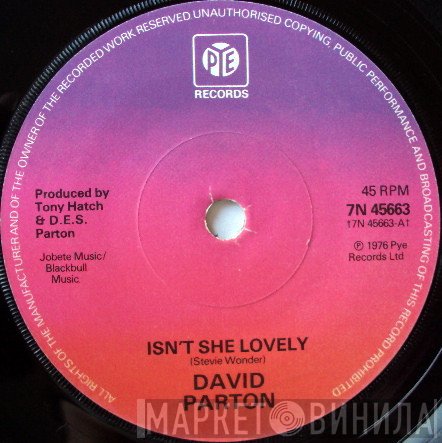 David Parton - Isn't She Lovely