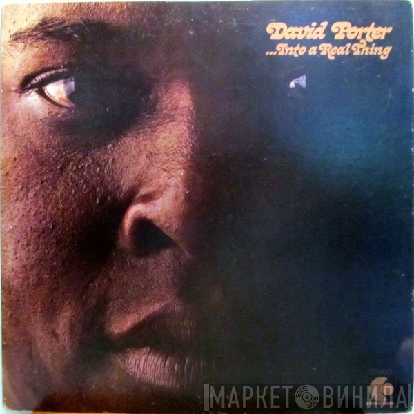 David Porter  - ...Into A Real Thing