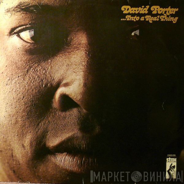 David Porter  - ...Into a Real Thing