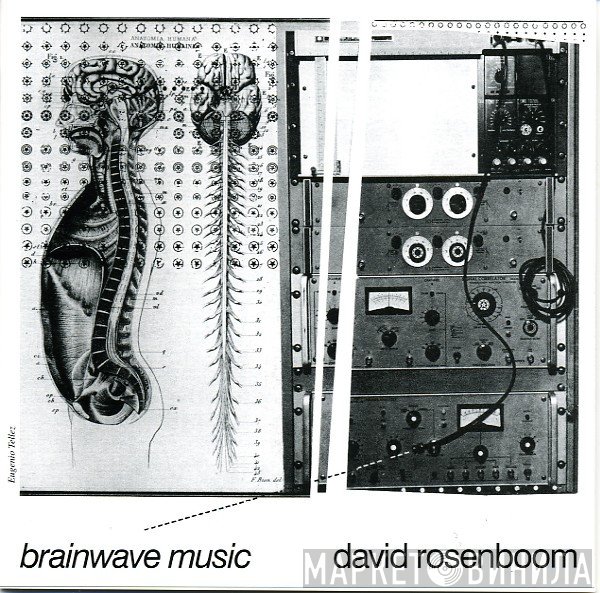 David Rosenboom  - Brainwave Music