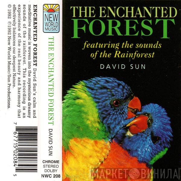David Sun  - The Enchanted Forest
