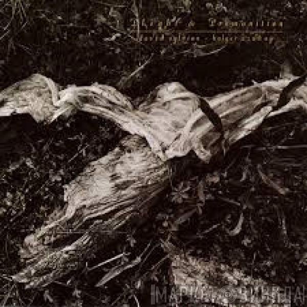 David Sylvian + Holger Czukay  - Plight & Premonition