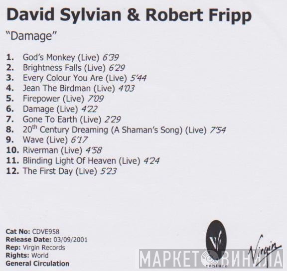 David Sylvian & Robert Fripp  - Damage