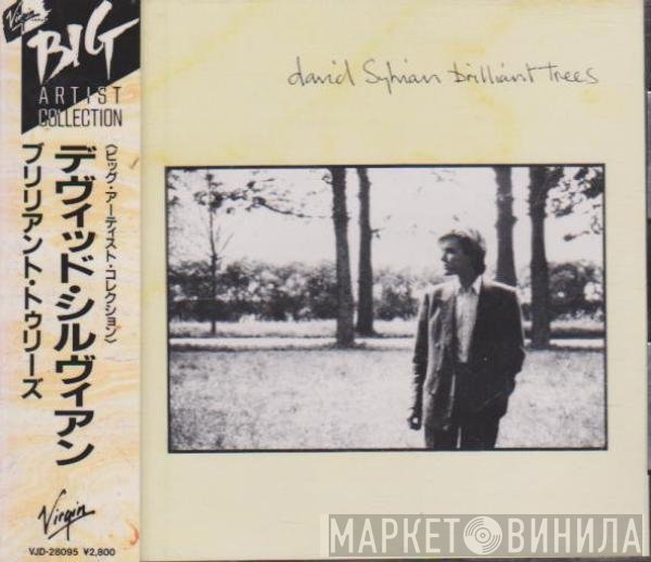 David Sylvian  - Brilliant Trees = ブリリアント・トゥリーズ