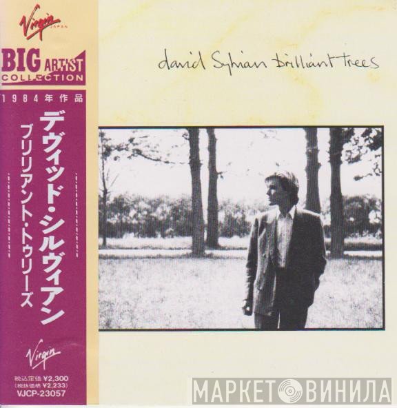 David Sylvian  - Brilliant Trees = ブリリアント・トゥリーズ