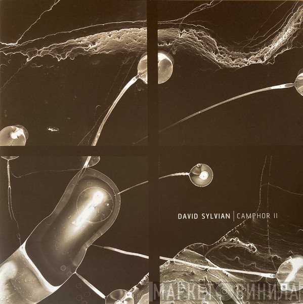 David Sylvian - Camphor II